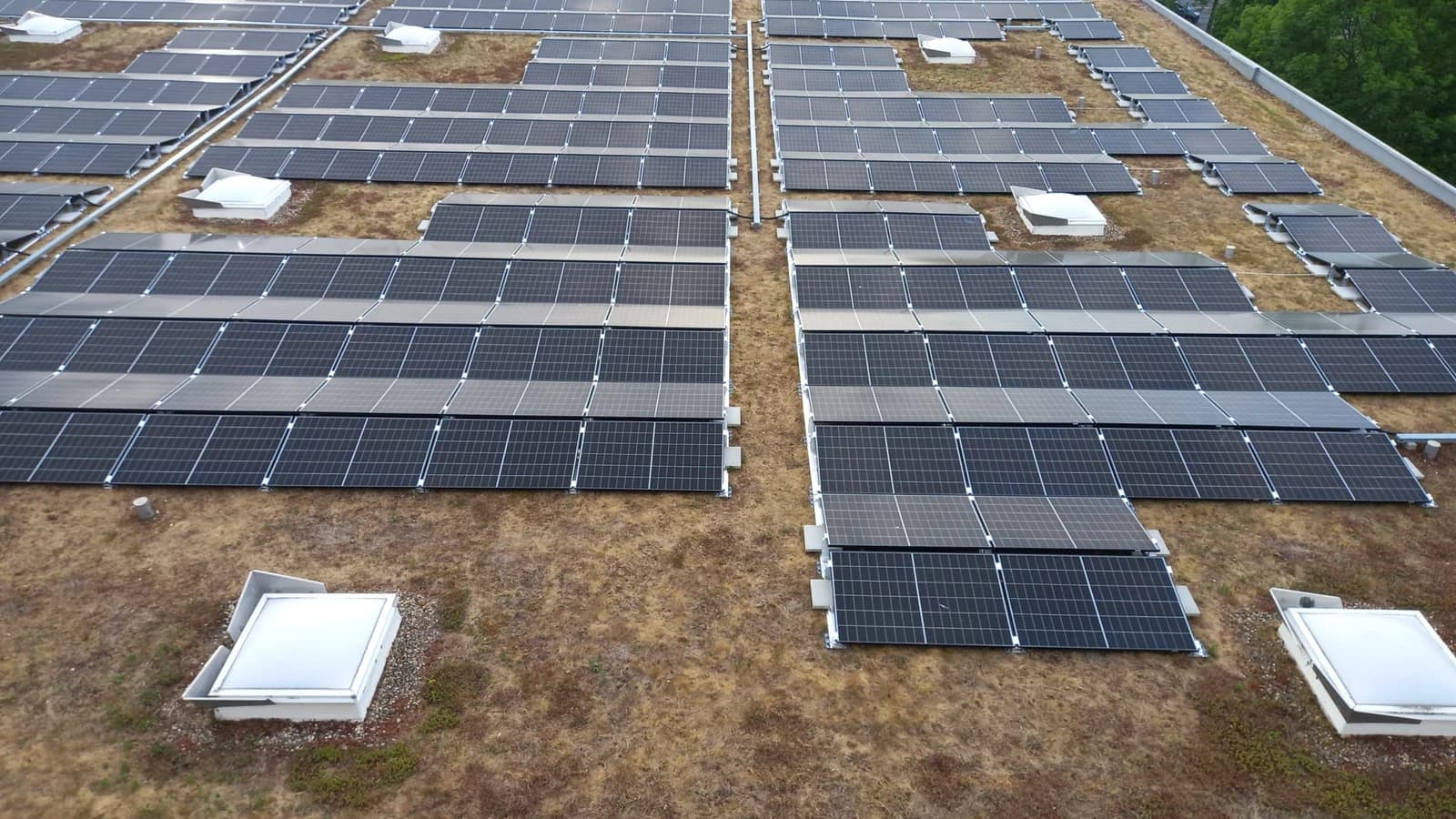 PV-installatie op het groene dak van een bedrijfspand