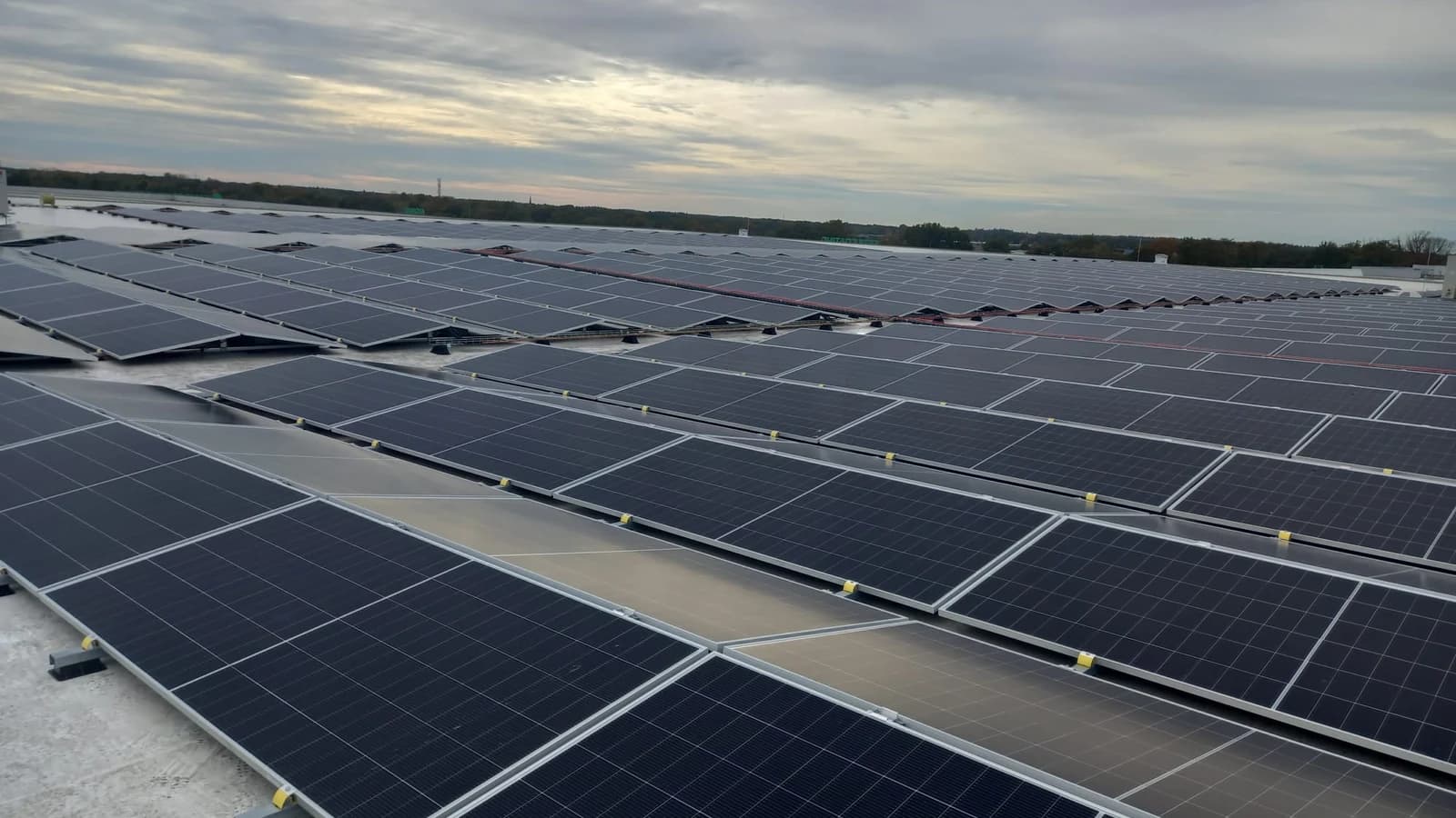 Groot veld zonnepanelen op een bedrijfsdak